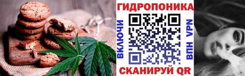 Печенье с ТГК марихуана  гидра онион  Нерюнгри  цены  