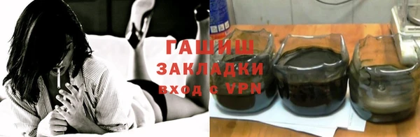 мдпв Гусев