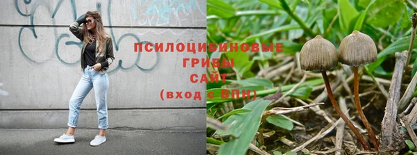 мескалин Баксан