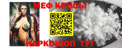 гашик Камышлов