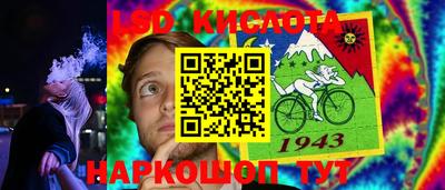 шишки Кандалакша
