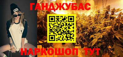 гашик Камышлов