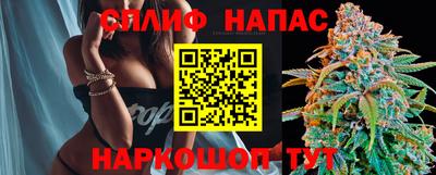 гашик Камышлов
