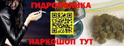 шишки Кандалакша