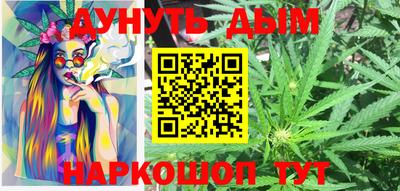 шишки Кандалакша