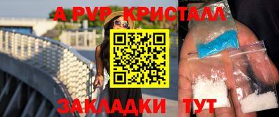 шишки Кандалакша