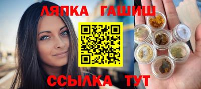 гашик Камышлов