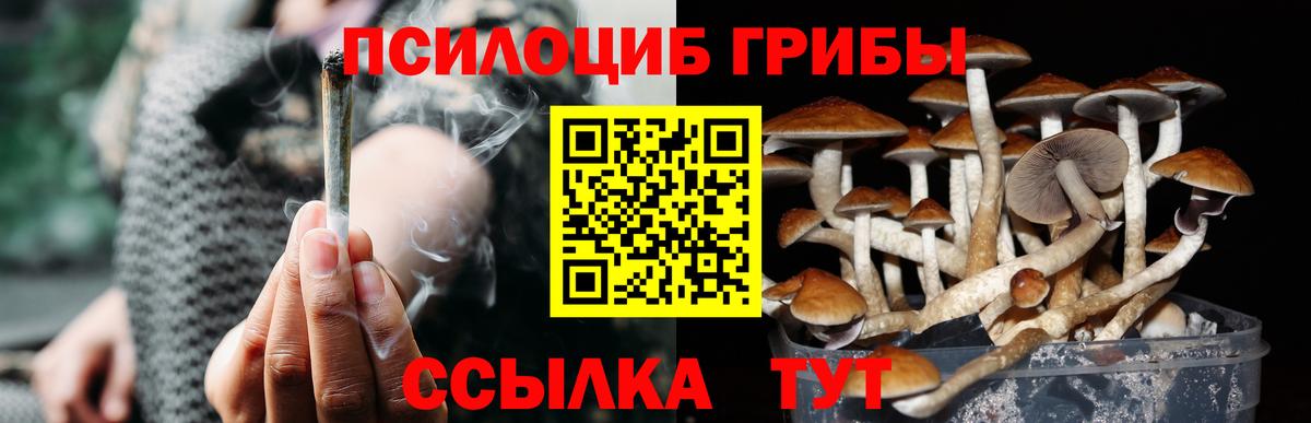 Псилоцибиновые грибы мухоморы Нерюнгри